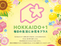 HOKKAIDO+1